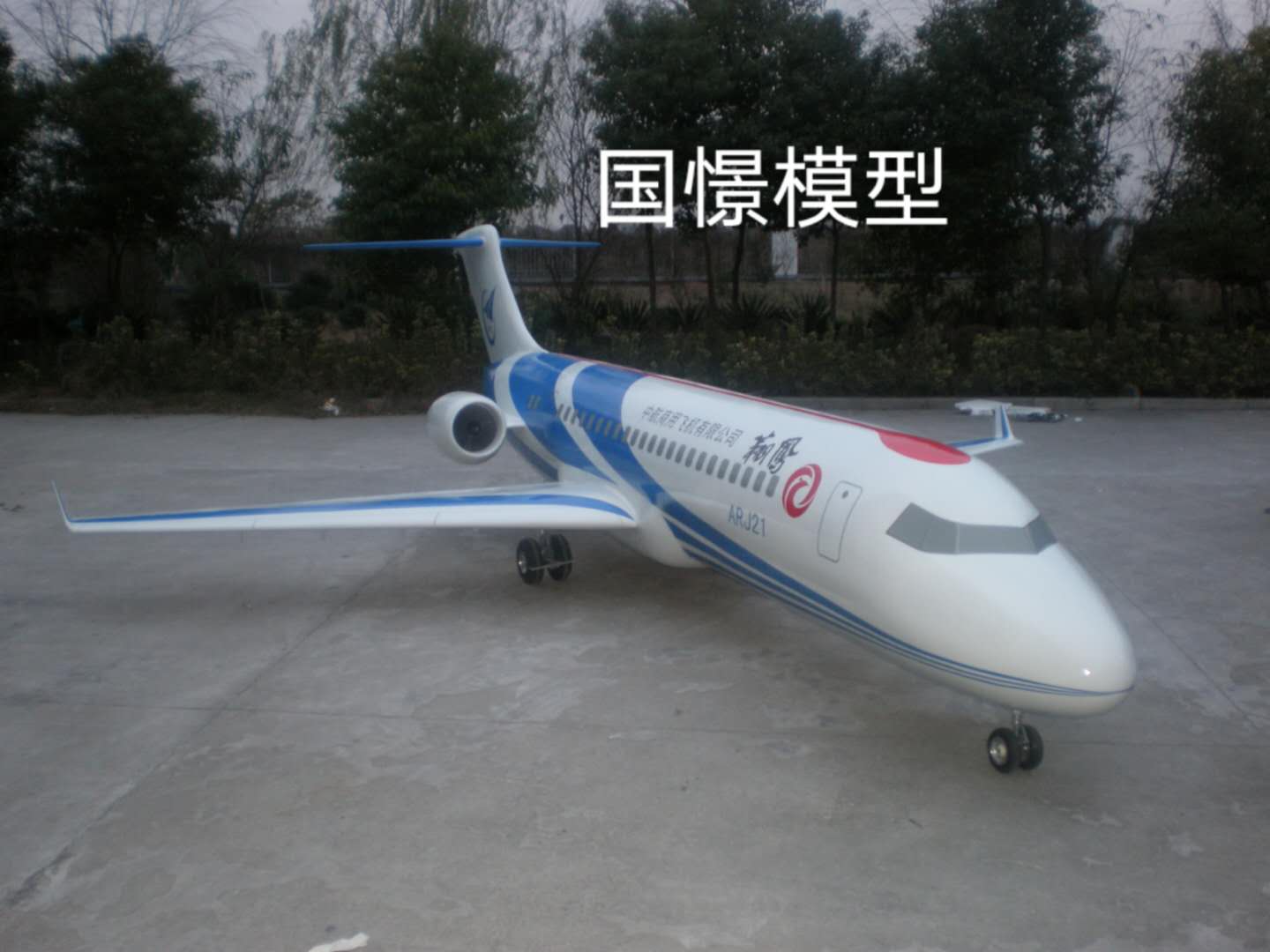 漾濞飞机模型