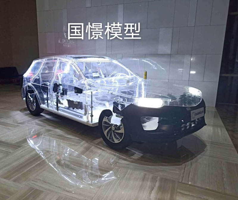 漾濞透明车模型